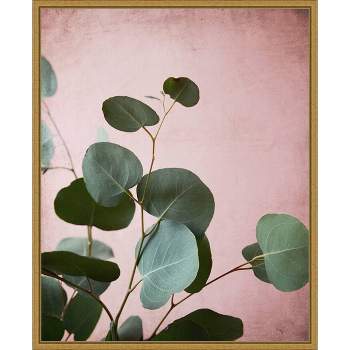 16" x 20" Sage Eucalyptus No.2 by Lupen Grainne Framed Canvas Wall Art - Amanti Art