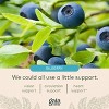 Gaia Herbs Healthy Vision - Vision Support Supplement to Help Maintain Eye Health - 60 Vegan Liquid Phyto-Caps - 4 of 4