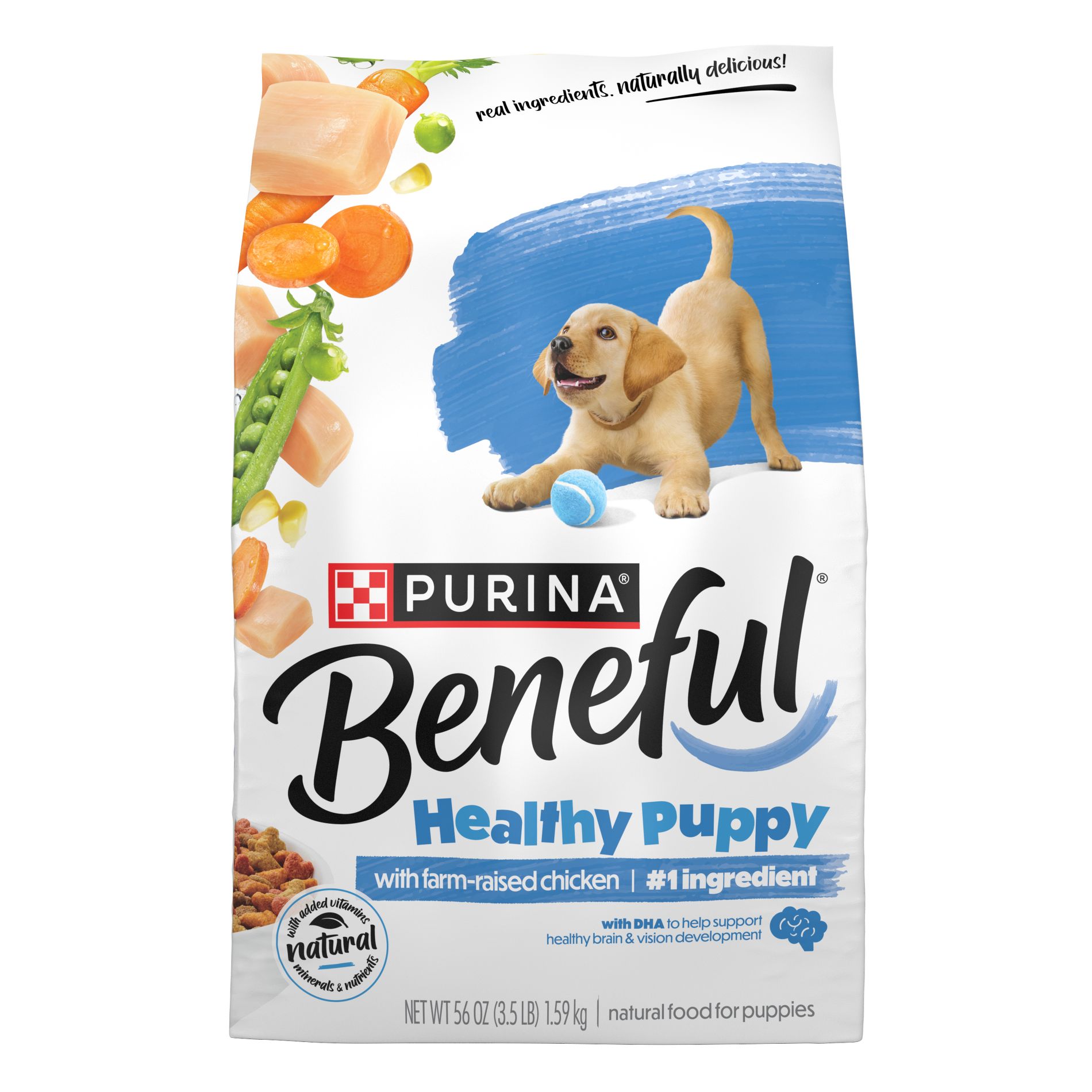 Purina Beneful Healthy Puppy Real Chicken Flavor Dry Dog Food - 3.5lbs