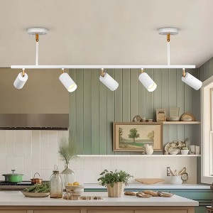 Rennnsan Linnova 50" W 5 -Light Dimmable Modern Linear Kitchen Island Pendant in Black & Bronze & White & Gold - 1 of 4