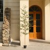 DR.Planzen 5-7FT Artificial Olive Tree with Real Wood Branches & Lifelike Fruits - Faux Indoor/Outdoor Green Leaves Fake Tree for Home Decor - 2 of 4