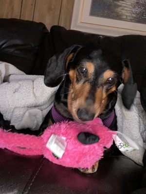 Guest review image 1 of 4, zoom in