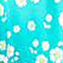 teal floral