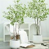 Artificial Ficus Silk Tree with Heart-Shaped Leaves, Large Faux Indoor Plant for Modern Home & Office Decor - 3 of 4