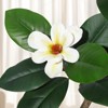 Artificial Rubber Tree in White Pot - Faux Indoor Plant with 7/8 Magnolia Flowers, Fiddle Leaf Fig Style for Home/Office Decor - 2 of 4