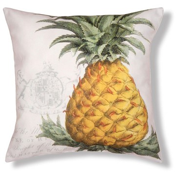 Summer Pink Pineapples Square Pillow Cover Throw