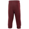 Hudson Baby Boys Cotton Pants and Leggings, Stripe Burgundy Olive - 4 of 4