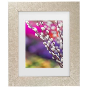 Trademark Fine Art - Jenny Rainbow Fine Art Spring Willow Branch Matted Framed Art - 1 of 4