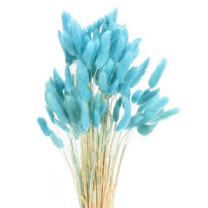 Unique Bargains Decorative Natural Dried Floral Bunny Tail Artificial Plants 120 Pcs - 1 of 4