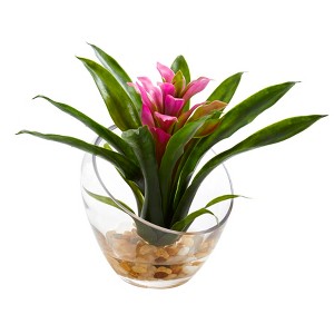 Nearly Natural 8-in Tropical Bromeliad in Angled Vase Artificial Arrangement, Purple - 1 of 1