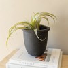 6.5" Smoke Colored Planter Black Terracotta - 2 of 4