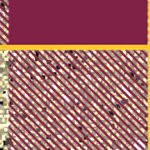 arizona state sun devils