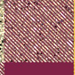 arizona state sun devils