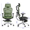 SAINTCY Ergonomic Mesh Office Chair with Adjustable Lumbar Support, Headrest & Footrest – 3D Armrests, Tilt Control & Customizable Seat Depth - 2 of 4