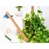 Envelor Coco Moss Poles for Climbing Plants Stackable Plant Support - 2 of 4