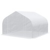NicBex 12'x10'x7' Walk-in Tunnel Greenhouse with Roll-up Windows and Zippered Door, PE Cover for Growing Flowers, Herbs, Vegetables, Saplings, Beige - 3 of 4