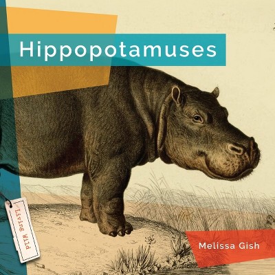 Hippopotamuses - by  Melissa Gish (Paperback)