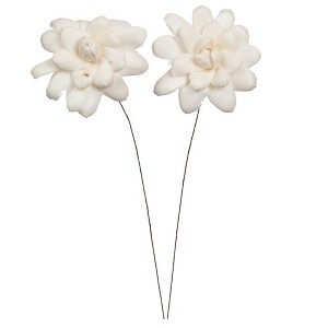 Vickerman 4" Natural Botanicals Dried Sola Flower on Wire Stem - 1 of 4