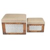 Cheung's Orion Set of 2 Cushioned Wood & Metal Storage Benches - 4 of 4