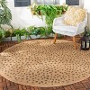 Courtyard CY6104 UV & Stain Resistant Non-Shedding Power Loomed Indoor/Outdoor Rugs - Safavieh - 2 of 4