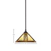 Toltec Lighting Any 1 - Light Pendant in  Dark Granite with 14" Santa Cruz Art Glass Shade - 2 of 2