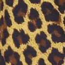 brown leopard spot