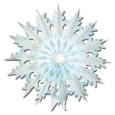 Beistle Dip-Dyed Snowflake, 17", (2/Pkg) Multicolored