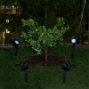 Set of 4 Outdoor Solar Powered Pathway LED Light Stakes Silver/Black - Alpine Corporation: Weather-Resistant, No Assembly Required - 2 of 4