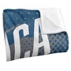 Ithaca College Fan Zone Silky Touch Super Soft Throw Blanket 50x60 - 3 of 4