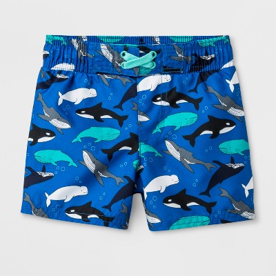 swimsuits whale