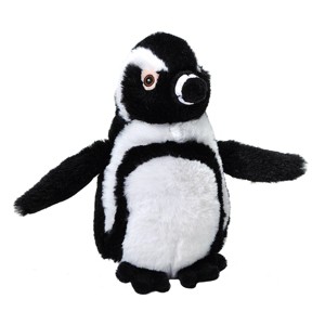 Wild Republic Ecokins Mini Black Footed Penguin Stuffed Animal, 8 Inches - 1 of 1