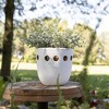 Round Cutout Planter White Terracotta by Foreside Home & Garden - 2 of 4