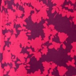 pink burst graphic floral