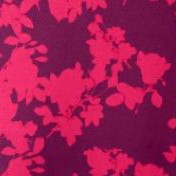 pink burst graphic floral