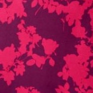 pink burst graphic floral