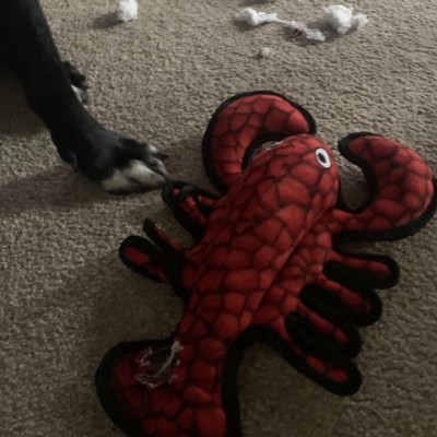 Tuffy ocean hotsell creature lobster