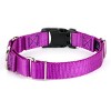 Country Brook Petz Heavy Duty Nylon Martingale Dog Collar with Deluxe Buckle - 30+ Vibrant Color Options - 3 of 4