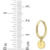 14k Yellow Gold 20mm Disc Diamond Charm Hoop Gemstone Earrings - 4 of 4