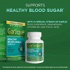 Garlique Healthy Blood Sugar Caplet, 60 Ct - 2 of 4