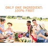 Nature's Turn Freeze-Dried Fruit Snacks - Pear Crisps -  No Sugar Added, Non GMO, Gluten Free, Nothing Artificial - 34g (1.20oz) - 6-PACK - 4 of 4