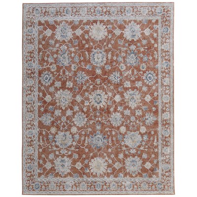 Pasha Transitional Floral & Botanical Area Rug