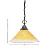 Toltec Lighting Any 1 - Light Pendant in  Dark Granite with 12" Gold Champagne Crystal Shade - 2 of 2