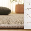 Natural Fiber Twill Plain Seagrass NF111 Indoor Rugs - Safavieh - 4 of 4