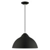 Livex Lighting Metal Shade 1 - Light Chandelier in  Black - 2 of 4