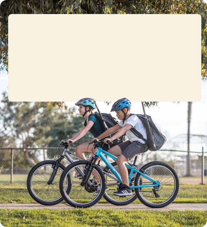 Schwinn Target