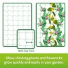 Original Stationery Trellis Netting for Climbing Garden Plants, Easy to Install Plant Net and Vegetable Netting to Grow Garden Flowers - 4 of 4