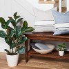 8" Mini Faux Hoya Heart Plant - Hearth & Hand™ with Magnolia - 2 of 3