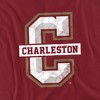 Men's College of Charleston Official Distressed Primary Logo T-Shirt - 2 of 4