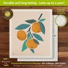 Briarwood Lane Oranges Swedish Dishcloth (2-pack) - 2 of 4