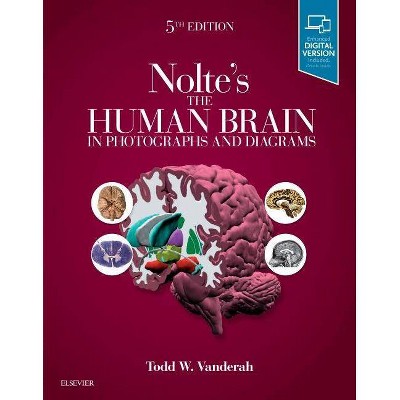 Nolte's the Human Brain in Photographs and Diagrams - 5th Edition by  Todd Vanderah (Paperback)